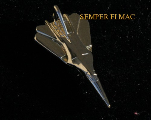 F-111 AARDVARK GOLD 3D LAPEL HAT PIN AFB TIE TAC US AIR FORCE USAF VETERAN ** - Picture 1 of 24