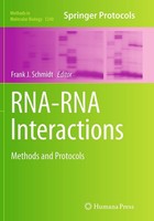 RNA-RNA Interactions Frank J. Schmidt