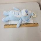Picture 11 of 11