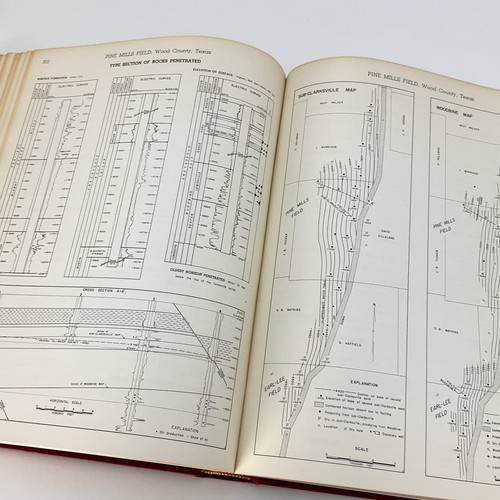 Occurrence of Oil and Gas in Northeast Texas Frank Herald 1951 Hardcover Book - Imagen 20 de 24