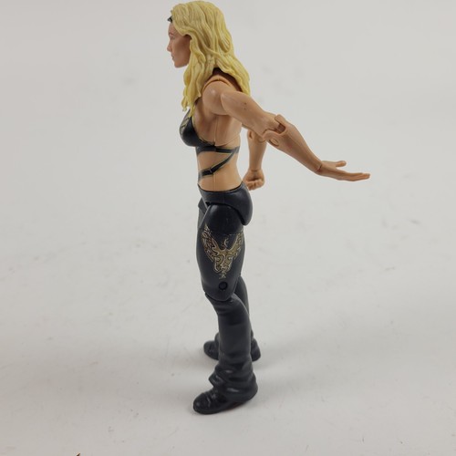 2010 WWF WWE Mattel Beth Phoenix Basic Wrestling Figure Diva Woman Royal Rumble - Picture 4 of 8