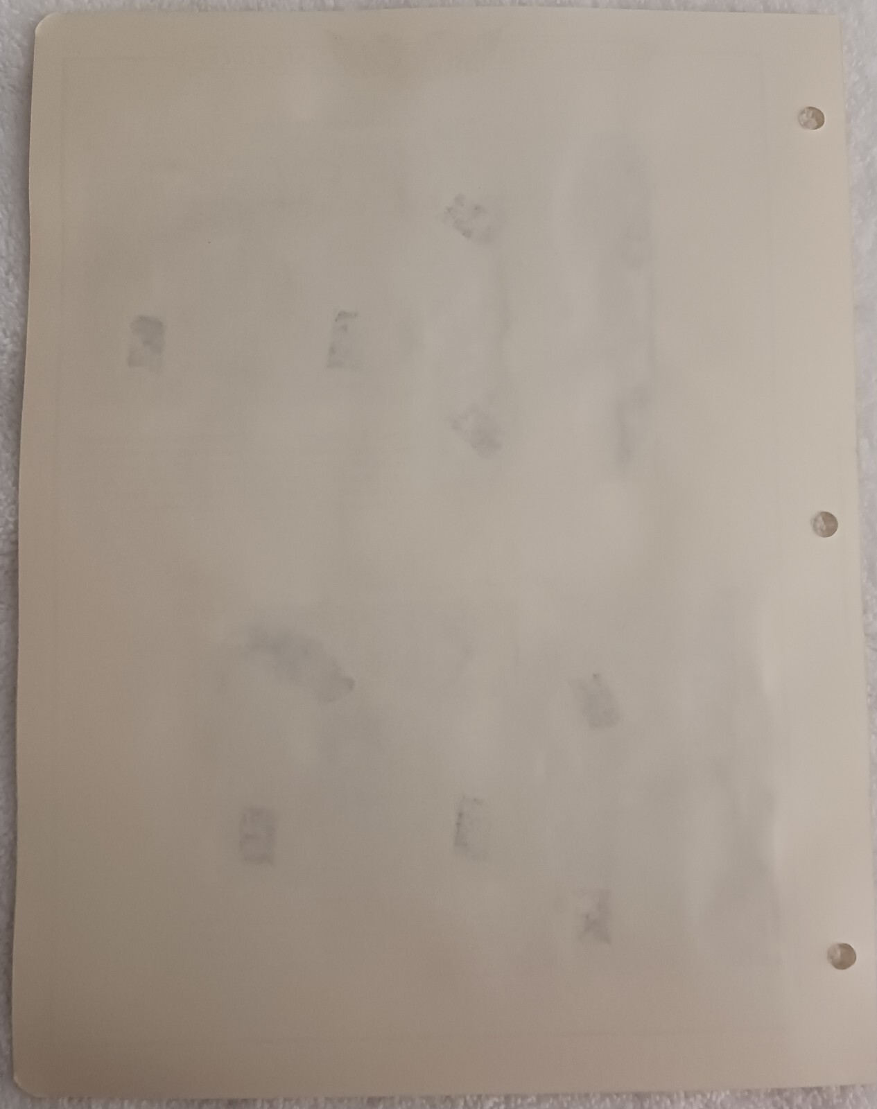 Picture 6 of 10