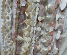 Big sale 24 selections of shell beads mix shapes