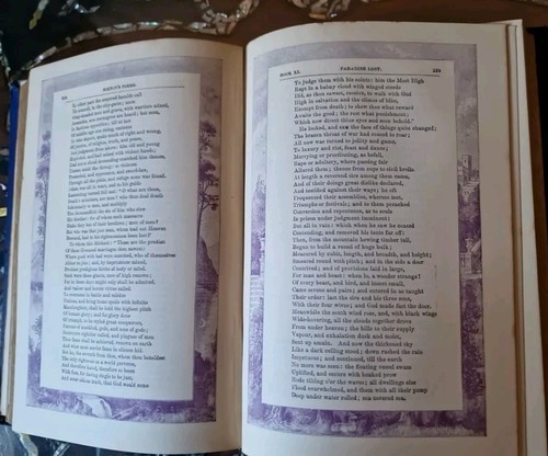 Milton's Poetical Works ~ Atemberaubender illustrierter gebundener Band aus dem 19. Jahrhundert - Bild 21 von 24