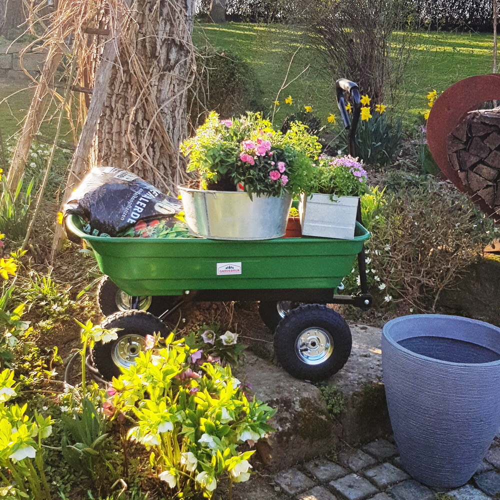 Bild 7 von 12