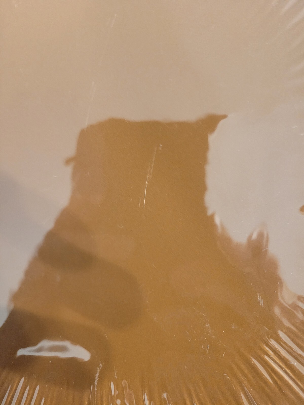 Picture 3 of 10