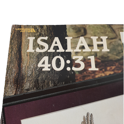 Vtg Leisure Arts Isaiah 40:31 USA Donna Vermillion Giampa Cross Stitch Booklet - Picture 2 of 9