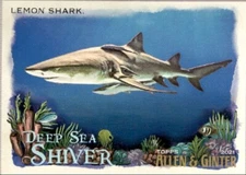 2021  Allen & Ginter  Lemon Shark  #DSS-7 Deep Sea Shiver Insert