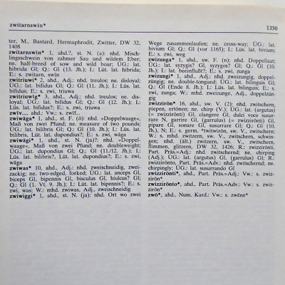 Wörterbuch d Althochdeutschen Sprachschatzes WAS, Schöningh 1993
