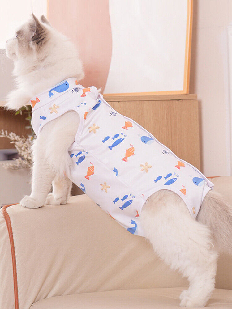 Foto 13 di 31