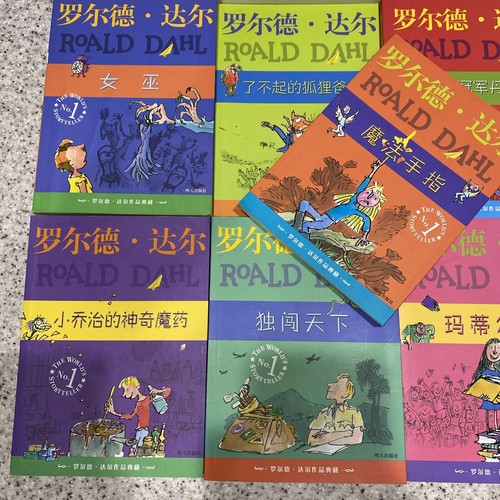 Roald Dahl (Chinese Editions) 13 Books. The Magic Finger / Fantastic Mr. Fox - Picture 5 of 11