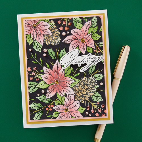 Spellbinders Festive Poinsettias Press Plate from the Amaryllis Christmas Collec - Picture 3 of 5