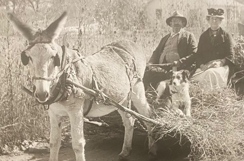 FOTO REAL DE ARKANSAS RPPC-HOMBRE MUJER Y PERRO CARRO DE HENO TIRADO POR BURRO-“EN NUESTRO CAMINO” - Imagen 2 de 3
