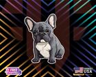 French Bulldog Frenchie Car Decal Sticker Design Laminated Custom Size Dm Me