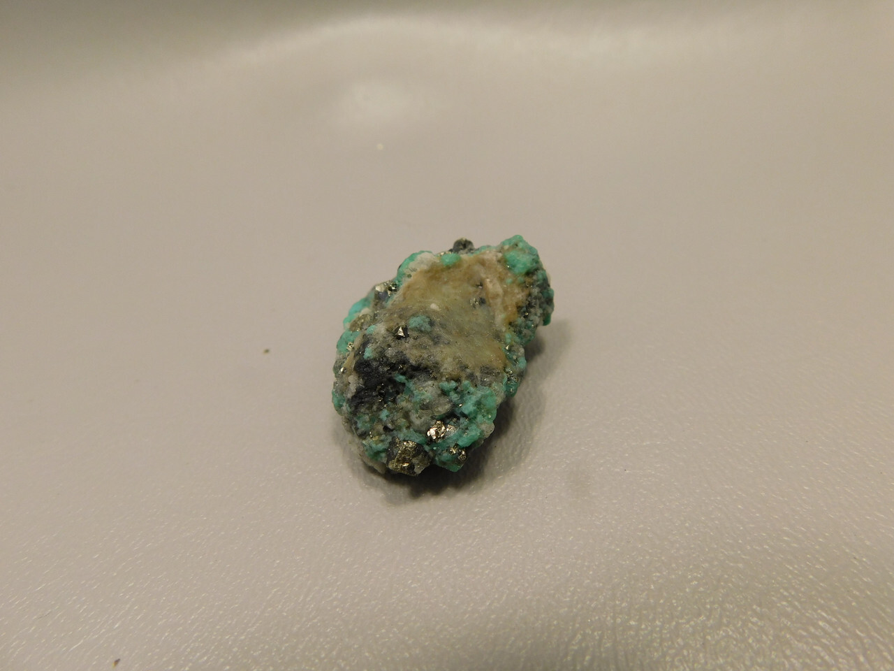 Picture 10 of 12