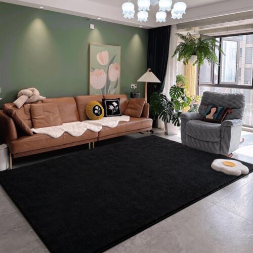 Modern Area Rugs for Bedroom Living Room 4x6 ft Thickened Memory-Foam Indoor ... - Picture 3 of 9