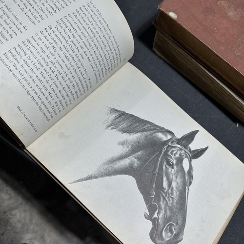 BIG RED von C.W. Anderson (1943, Vollblutpferd, Vintage Buch) 1. Auflage - Bild 6 von 8