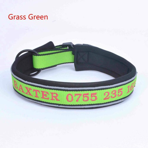 2024 Personalised Dog Collar custom name number ID Night Reflective - Picture 17 of 17