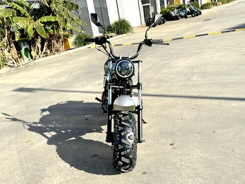 MB200X TrailMaster Hurricane Mini Bike Coleman Full sized REC-REG E-start BLUE - Picture 3 of 20