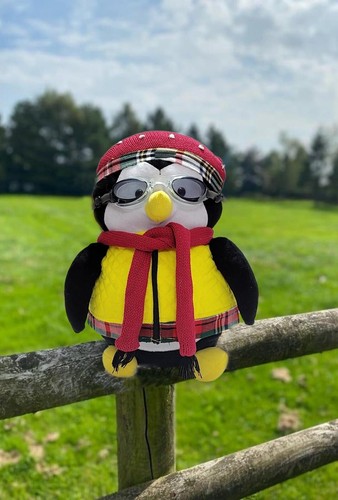 Hugsy from F.R.I.E.N.D.S | Plush Doll | Joey's Penguin Pal | FRIENDS Merchandise - Picture 9 of 9