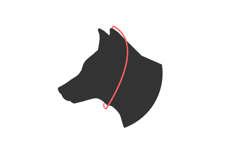 CANE SLIP ARROTOLATO Choker Testa Collare Cane Addestramento Fermate Tirare Correzione Slip - Foto 7 di 12