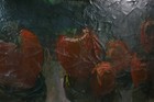 Bild 22 von 24