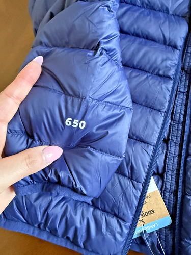 Eddie Bauer NWT BLUE Girl's LARGE (10/12) Lightweight Full-Zip Packable Jacket - Picture 12 of 17