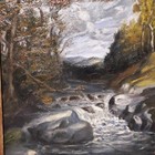 Picture 5 of 12