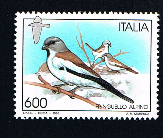 Foto 1 di 1