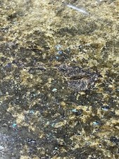 12x12 Tile Sea Coral Green Granite Bath Shower Remodel BOX OF 5 TILES T-99