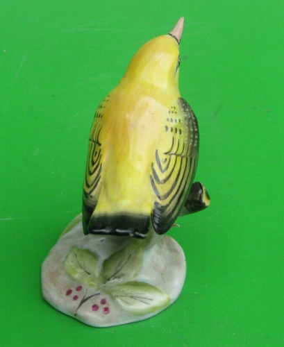 Royal Adderley Bird - Yellow Warbler - Picture 3 of 4