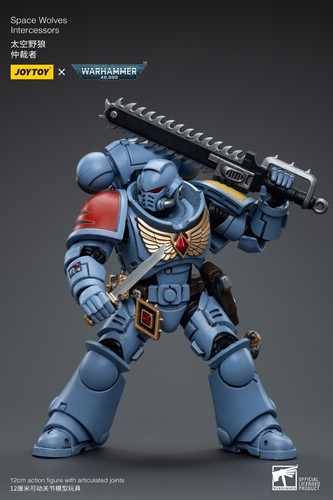 JOYTOY x Warhammer 40k Space Wolves Intercessors 1/18 4.5" ACTION FIGURE - Picture 7 of 8