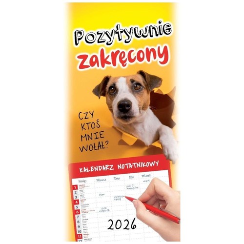Polski Kalendarz Różne Formaty 2025 - Organizador Estilo Różne Na Każdy Dzień - Imagen 39 de 53