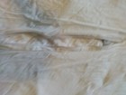 Bild 5 von 8