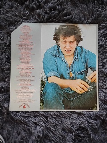Don McLean Vinyl LP-Prime Time-1977 Arista Records - Imagen 2 de 6
