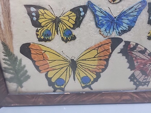Vintage Framed Mounted - Printed Butterflies | Dried Flowers Wall Art - Picture 8 of 17