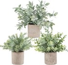 Der Rose 3 Pack Mini Potted Fake Plants Artificial Plastic Eucalyptus Grey 