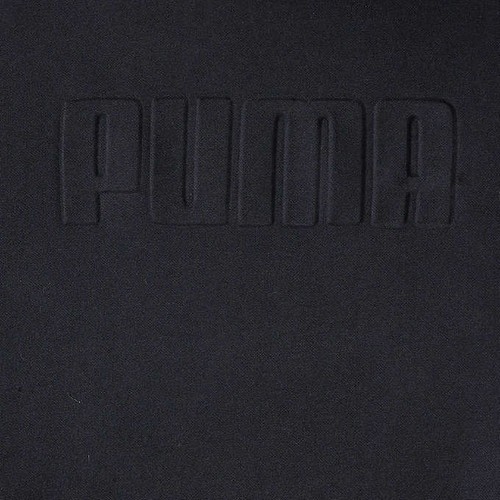 Puma Men's Fleece Hoodie Sweat Shirt Pullover A15 eBay