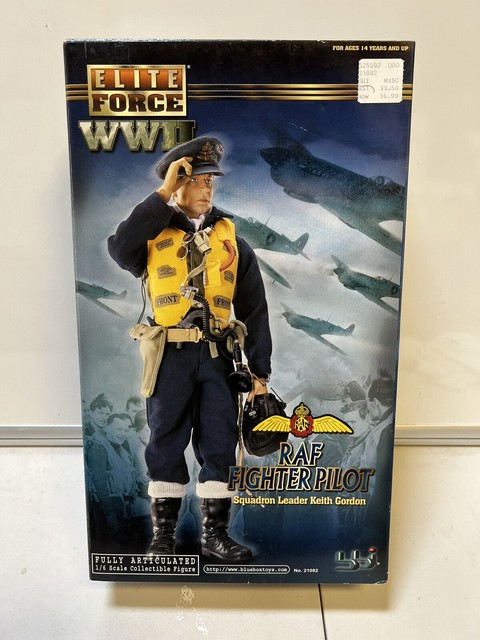 RAF Flying Fighter Pilot Field 