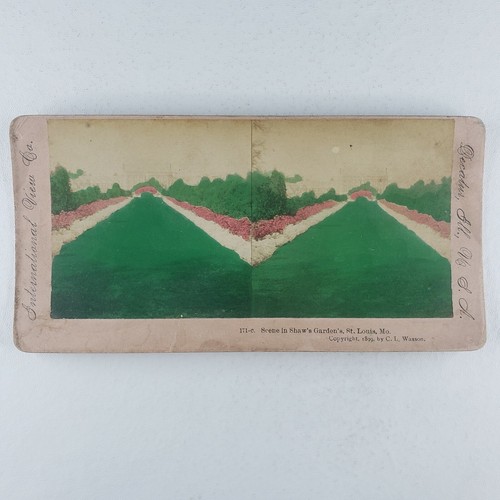 St Louis Missouri Henry Shaw's Botanical Garden Color Tinted Stereoview H129 - Picture 3 of 7