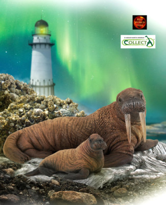 Walross und Kalb Paar Sealife Spielzeug Modell Figuren von CollectA Neu