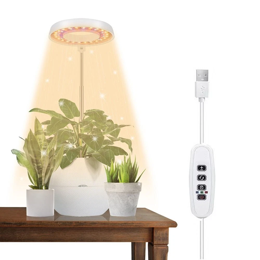 Grow 2024 light table