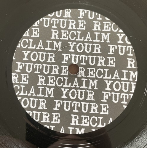 Whöle In The Head - Reclaim Your Future 7” punk / hardcore vinyl record NM / NM - Picture 4 of 4