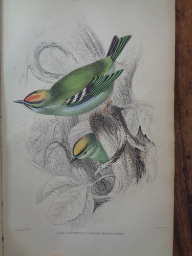 1837 BIRDS OF GREAT BRITAIN & IRELAND VOL 2 by JARDINE 30 COL PLTS ORNITHOLOGY - Picture 9 of 19