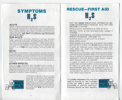 ESSE H2S SICHERHEIT TRAINIERT PATCH & HANDBUCH GOLF OF MEXICO GAS RIG KOSTENLOSER VERSAND AUS DEN USA - Bild 5 von 5