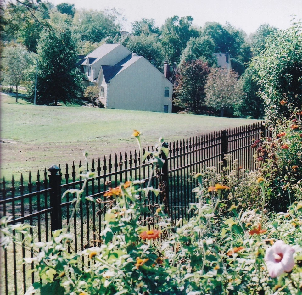 Paneles de valla de hierro forjado sólido: piquetes sólidos (detalles de entrega a continuación) Foto 2 de 4