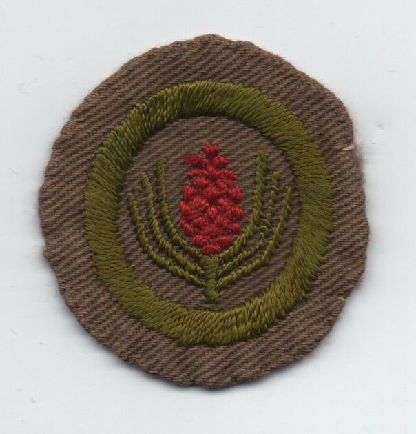Picture 1 of 2