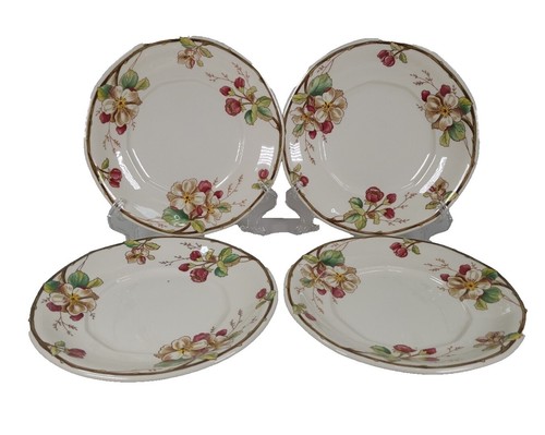 Villeroy & Boch プレート 4枚セット modern grace Villeroy & Boch プレート 4枚セット modern grace Spotlight