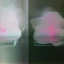 Tommy Vicari Jnr Kept In (Vinyl) 12" Single (UK IMPORT) Tommy Vicari Jnr Kept In (Vinyl) 12" Single (UK IMPORT)