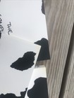 Foto 11 di 12